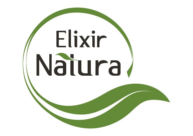 Idejni i glavni projekti Idejni i glavni projekti
